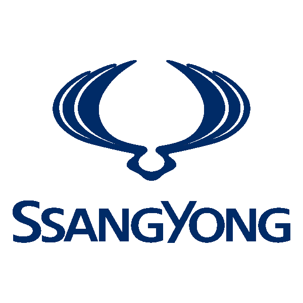 Navigatie dedicata SsangYong